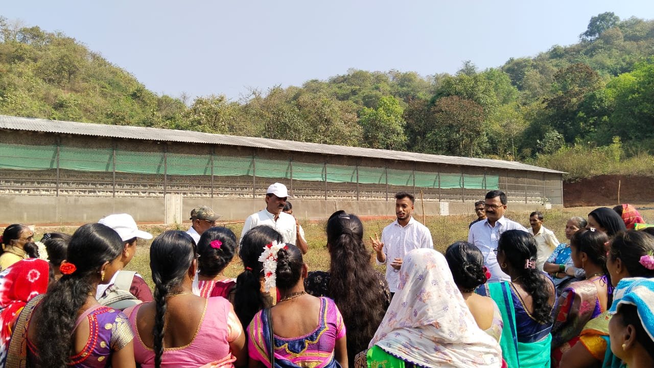 WhatsApp Image 2025-12-13 at 4.33.10 PM